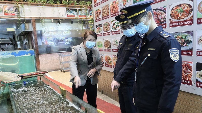 米面制品加工设备使用步骤详解：从准备到维护