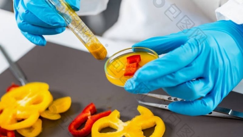 食品批发报价单背后的秘密：如何解读价格区间**